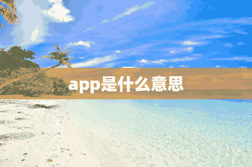 app是什么意思